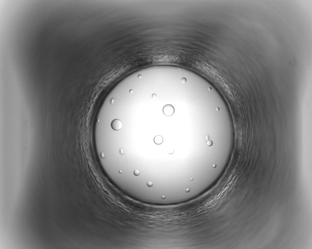 X0000096670721200802051009