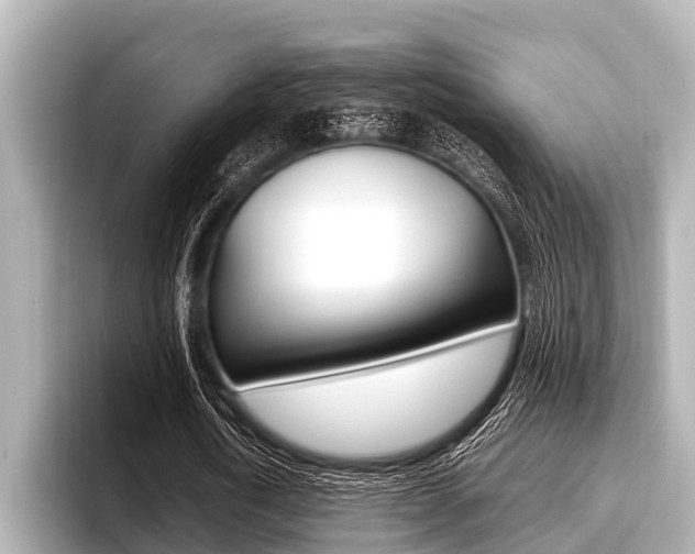 X0000096670722200802051009