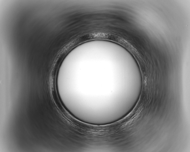 X0000096670725200802051009