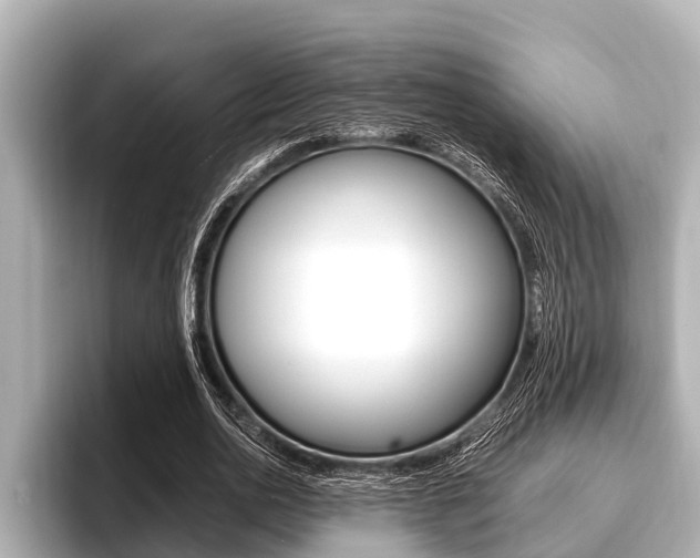 X0000096670726200802051009