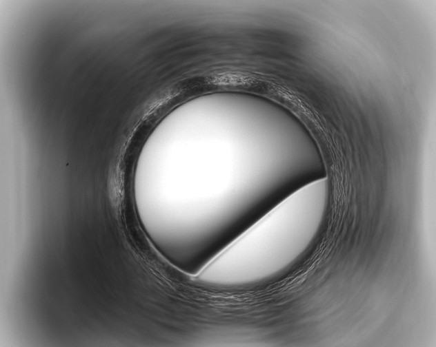 X0000096670727200802051009