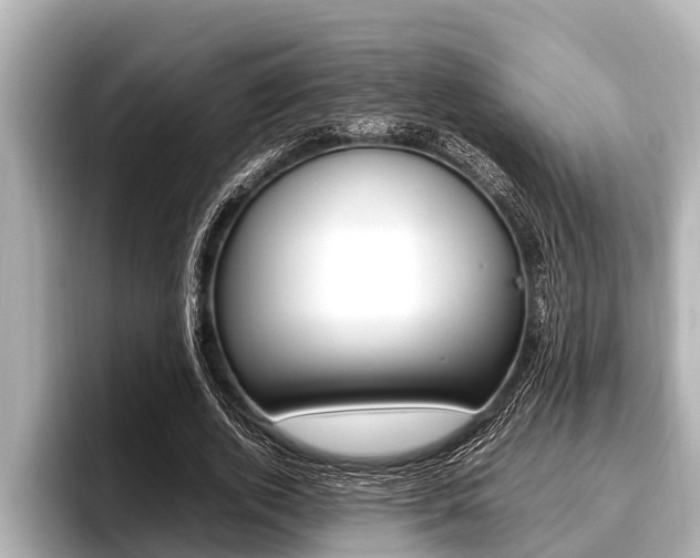 X0000096670728200802051009