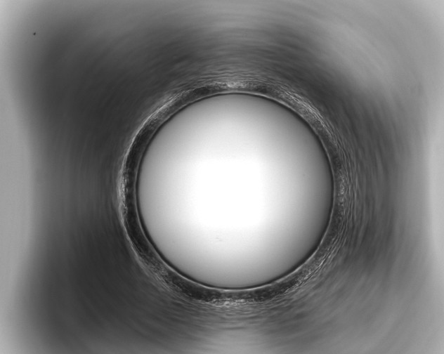 X0000096670730200802051009