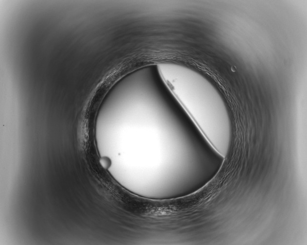 X0000096670731200802051009