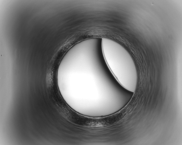 X0000096670735200802051009