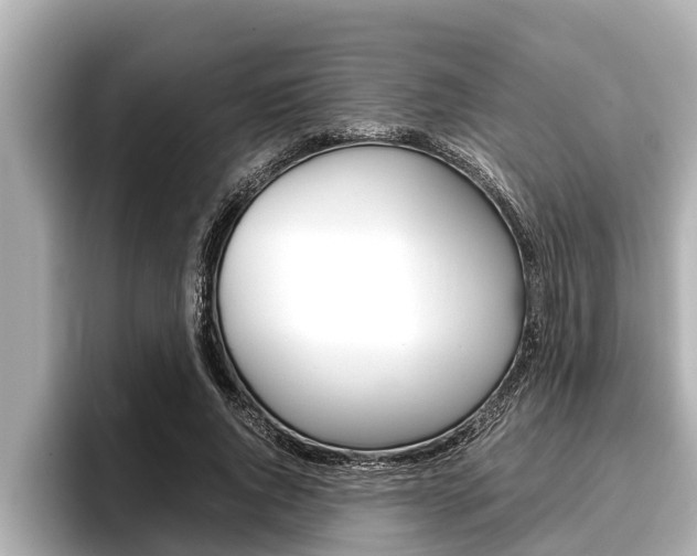 X0000096670736200802051009