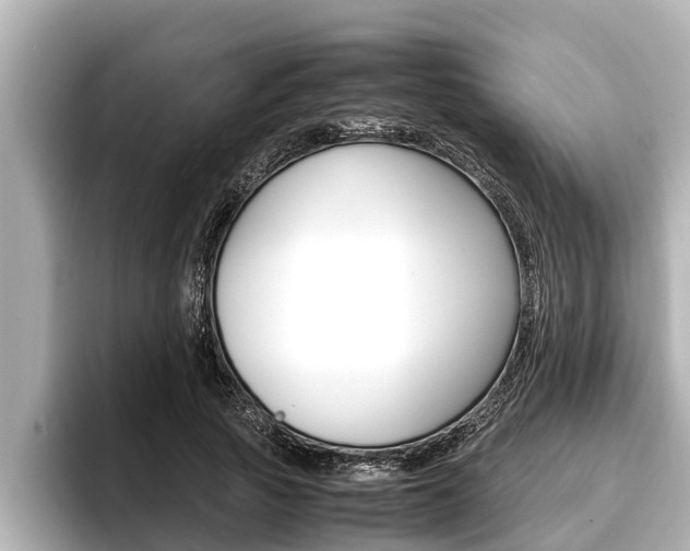 X0000096670737200802051009
