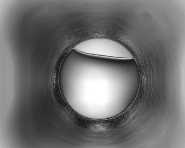 X0000096670739200802051009