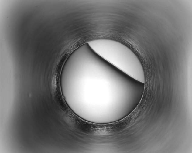 X0000096670740200802051009