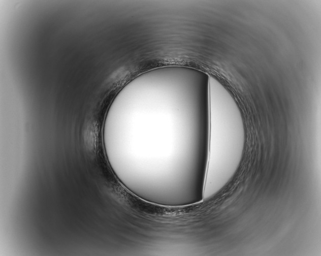 X0000096670744200802051009