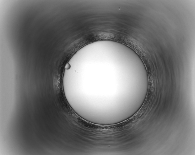X0000096670745200802051009