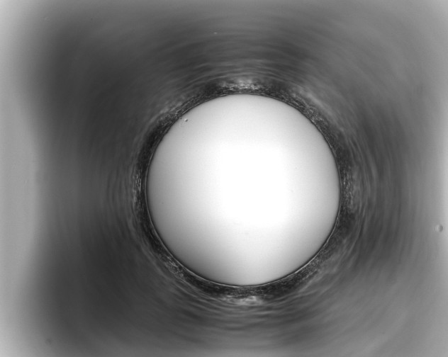 X0000096670747200802051009