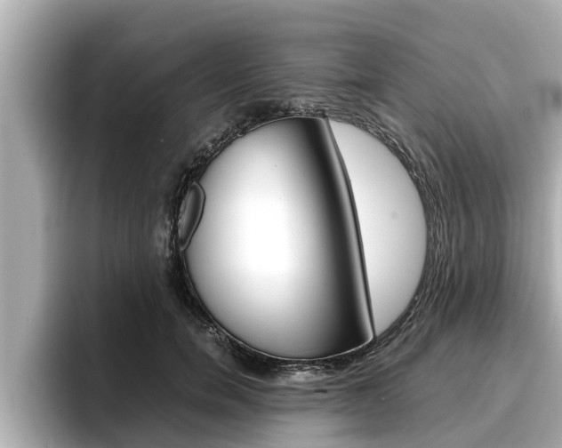 X0000096670750200802051009