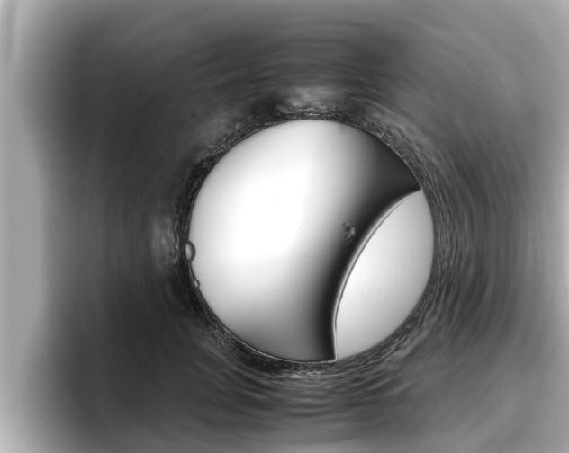 X0000096670751200802051009