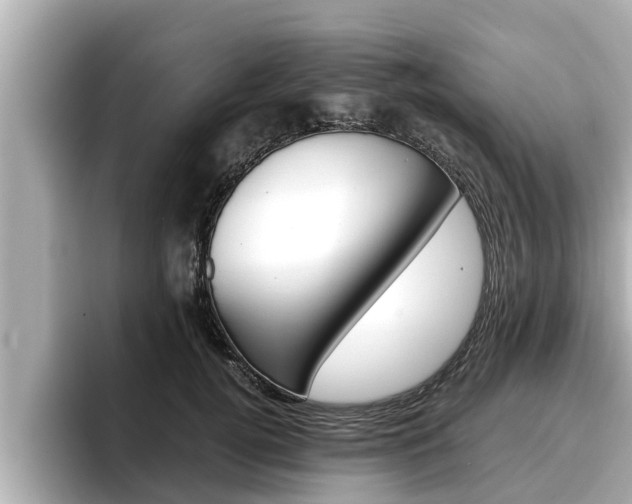 X0000096670752200802051009