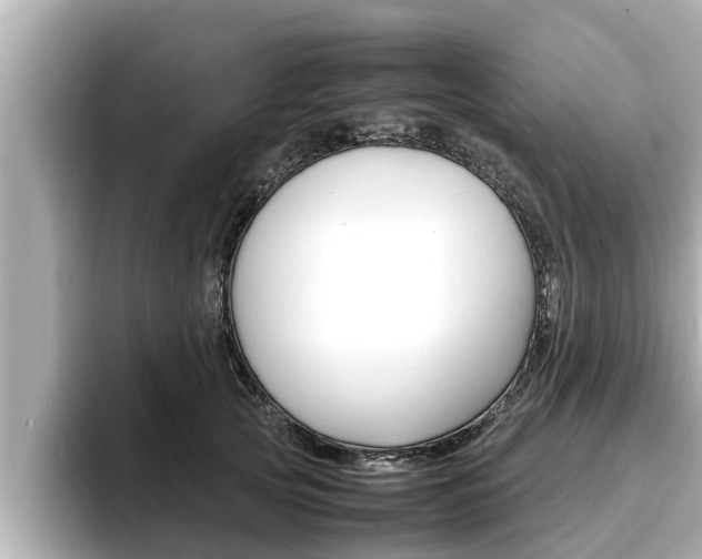 X0000096670753200802051009