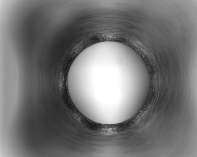 X0000096670760200802051010