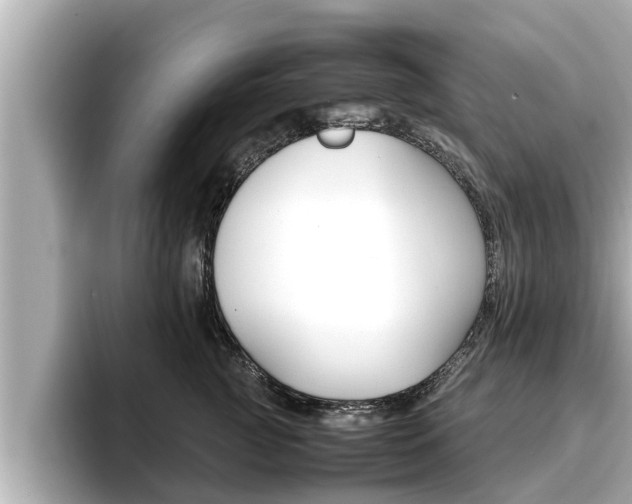 X0000096670761200802051010