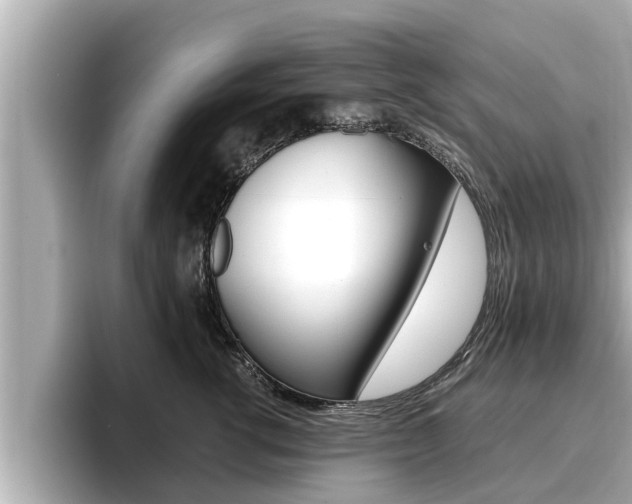 X0000096670762200802051010