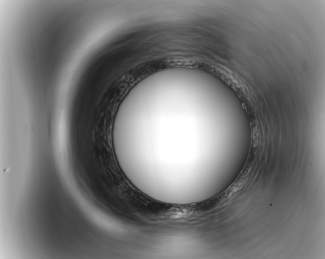 X0000096670764200802051010
