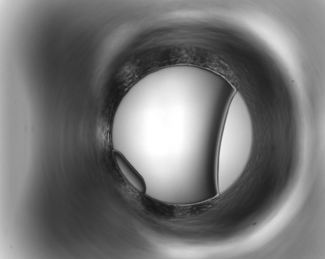 X0000096670766200802051010