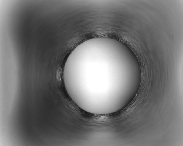 X0000096670768200802051010