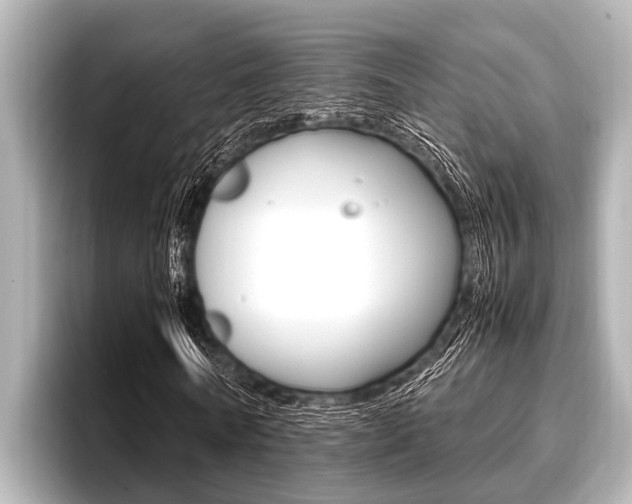 X0000096670770200802051009