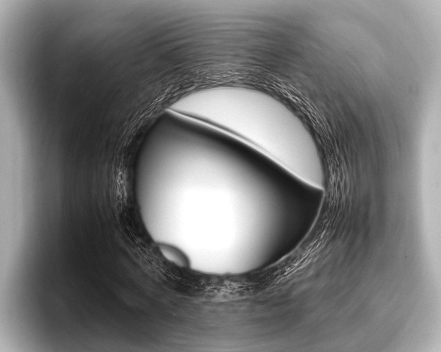X0000096670772200802051009