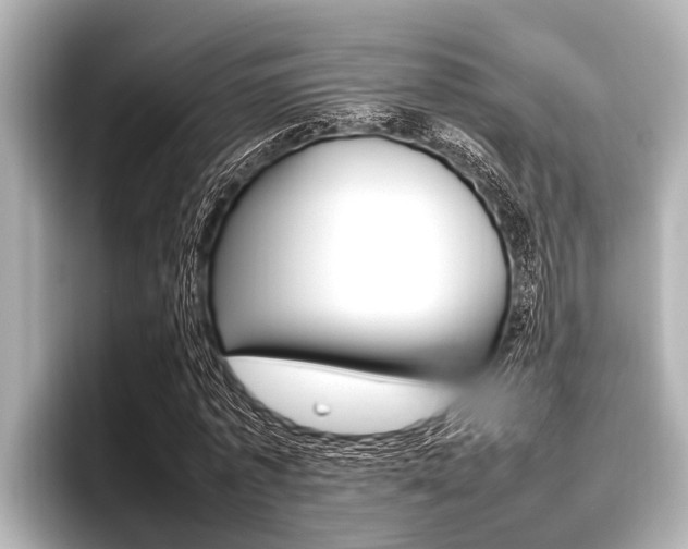 X0000096670773200802051009
