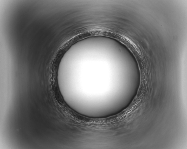 X0000096670775200802051009