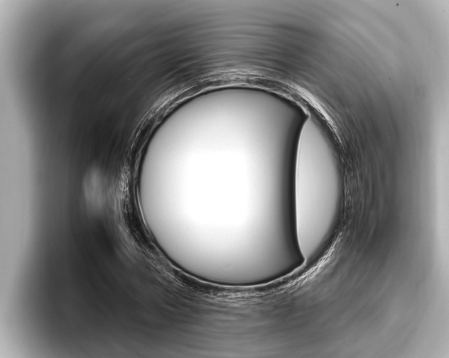 X0000096670778200802051009