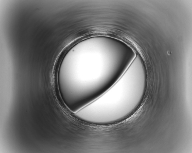 X0000096670779200802051009
