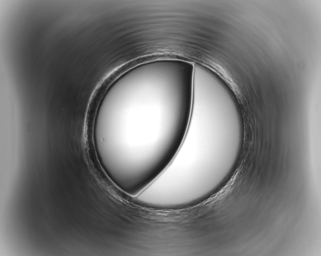 X0000096670780200802051009