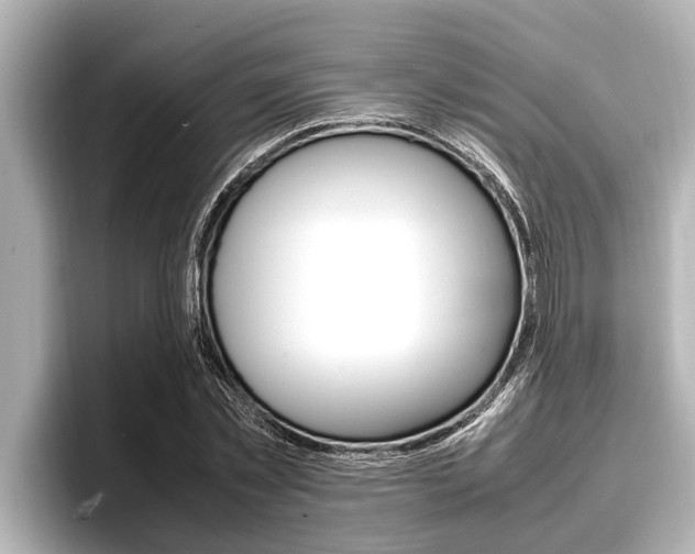X0000096670781200802051009