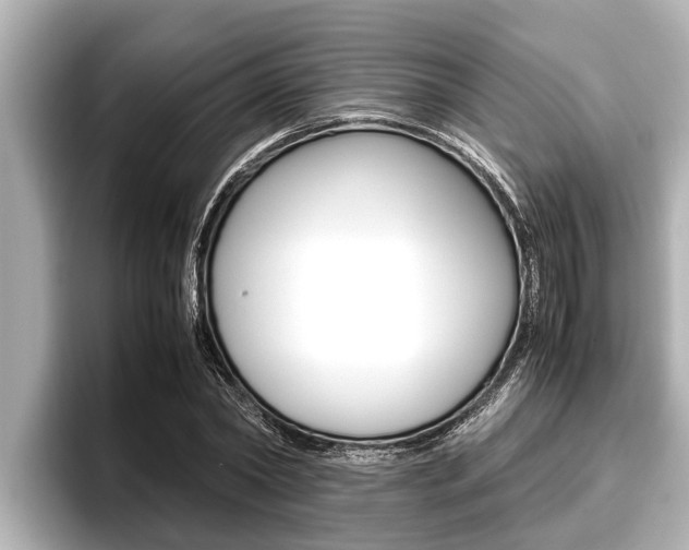 X0000096670782200802051009