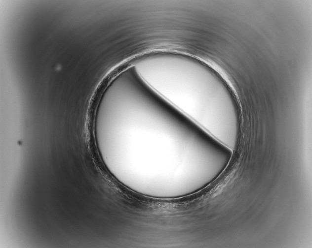 X0000096670783200802051009