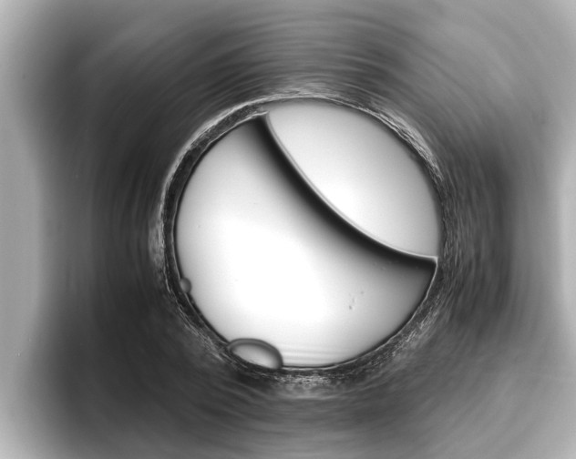 X0000096670784200802051009