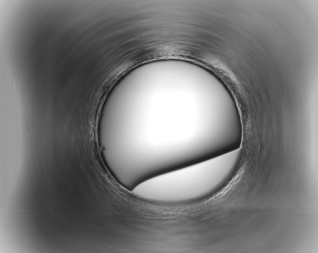 X0000096670785200802051009