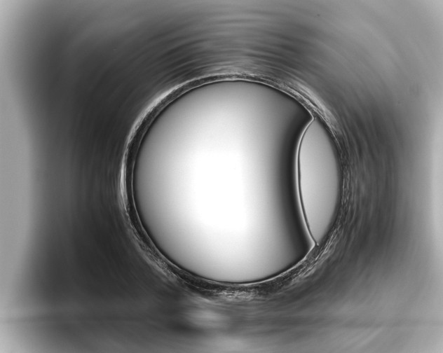 X0000096670788200802051009