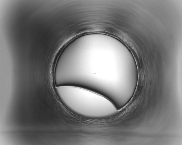 X0000096670789200802051009