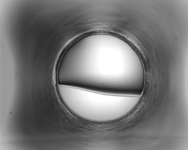X0000096670791200802051009