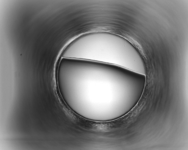X0000096670792200802051009