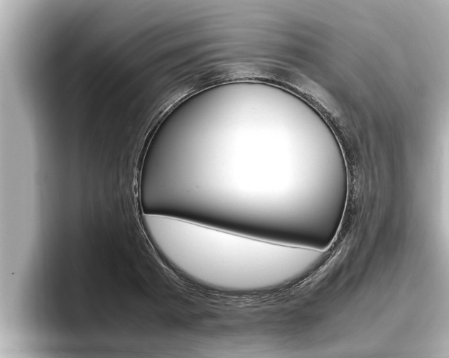 X0000096670793200802051009