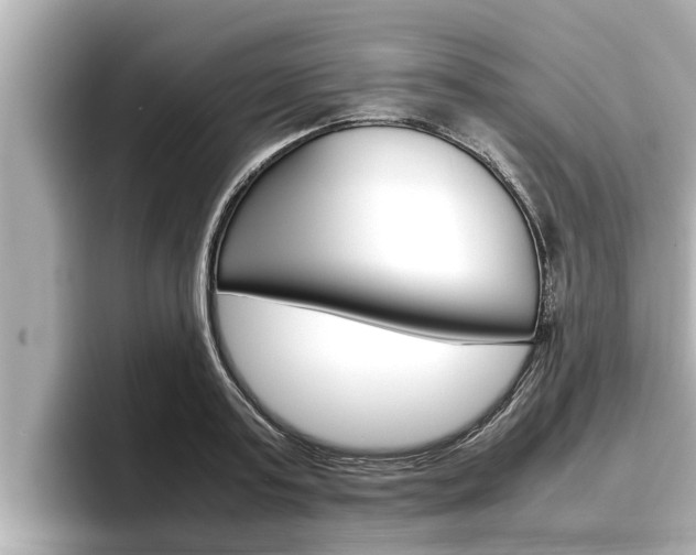X0000096670795200802051009