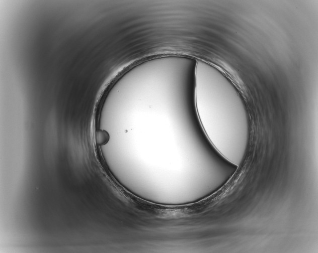 X0000096670796200802051009