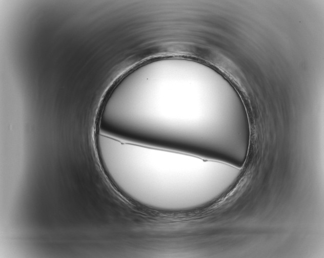 X0000096670797200802051009