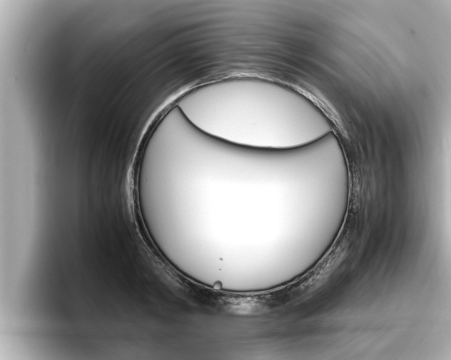 X0000096670798200802051009