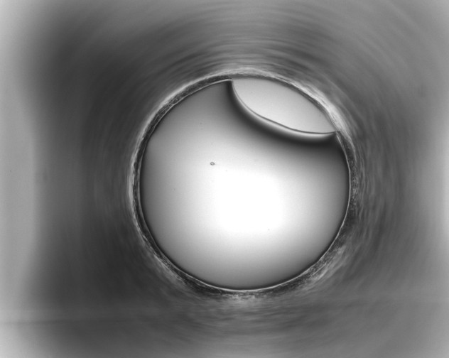 X0000096670799200802051009