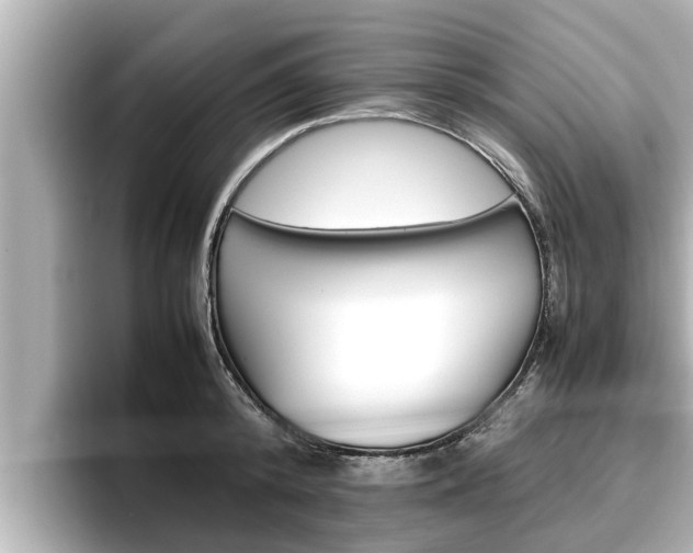 X0000096670800200802051009