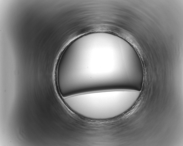 X0000096670803200802051009